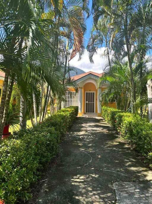 Villa De Ali In Palma Real La Ceiba Ngoại thất bức ảnh